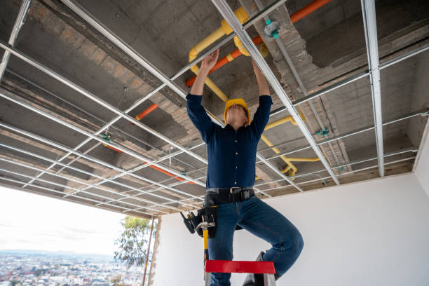 Best Pipe Repair Near Me  in Orange Beach, AL