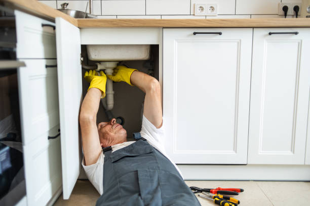 Best Toilet Repair Services  in Orange Beach, AL