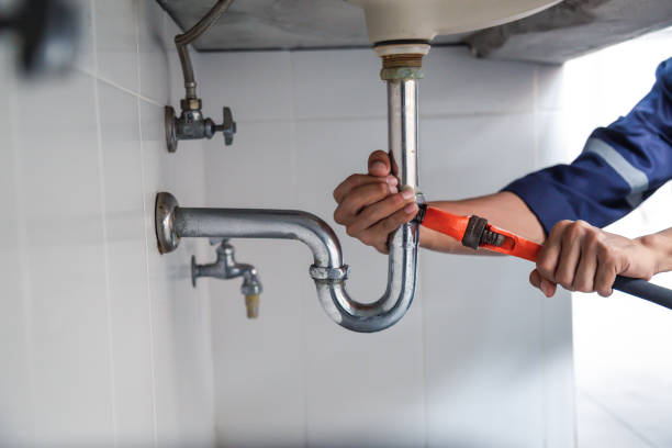 Best Clogged Drain Plumber  in Orange Beach, AL