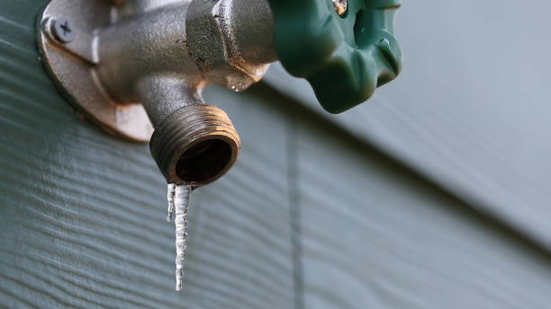Best Shower Repair Services  in Orange Beach, AL